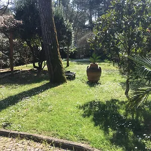 Old Town In The Green: Federico's Apartment. Апартаменты